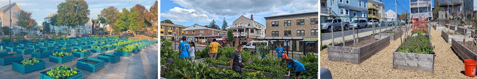 Urban Community Gardens