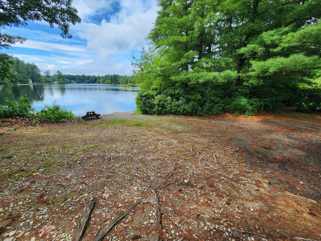 Shore access for Loon Pond