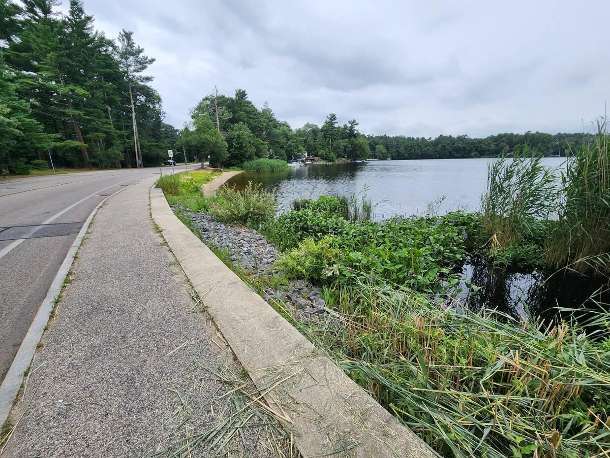 Shore access for East Monponsett Pond.