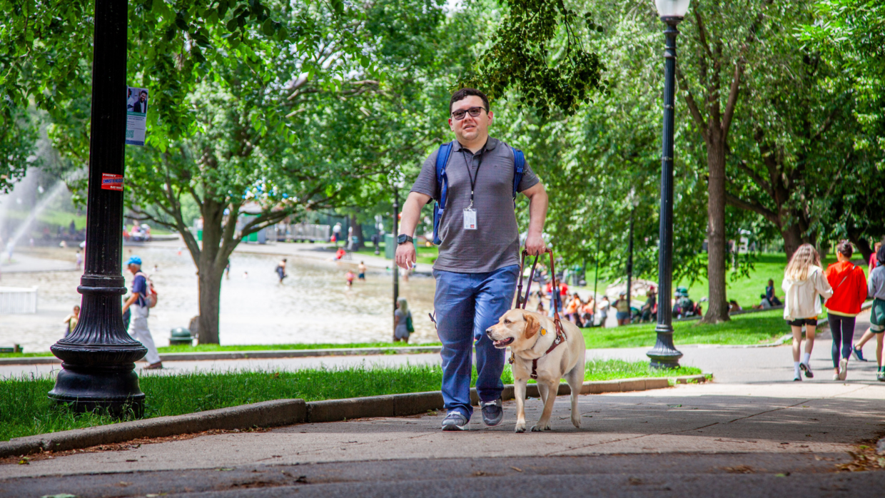 Man walking with guide dog in Boston Common