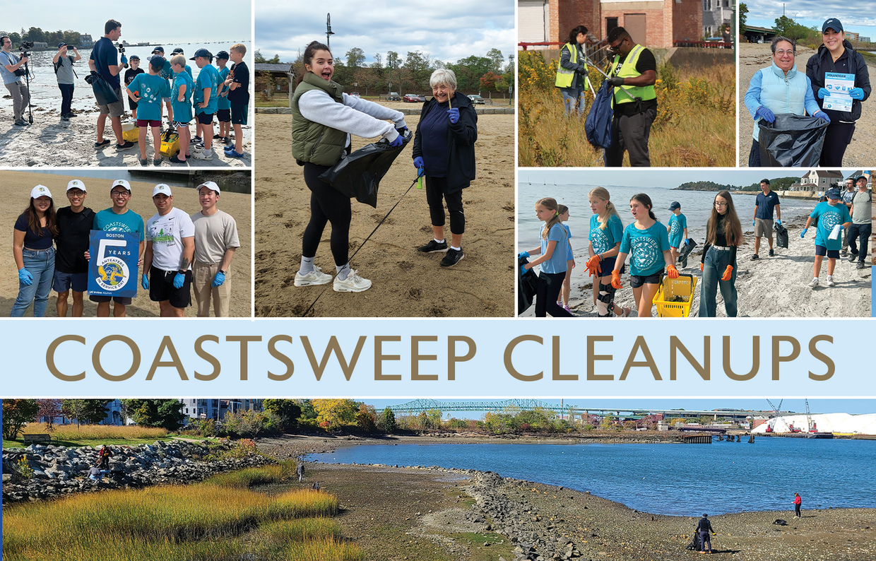 Collage of COASTSWEEP 2024 Volunteers