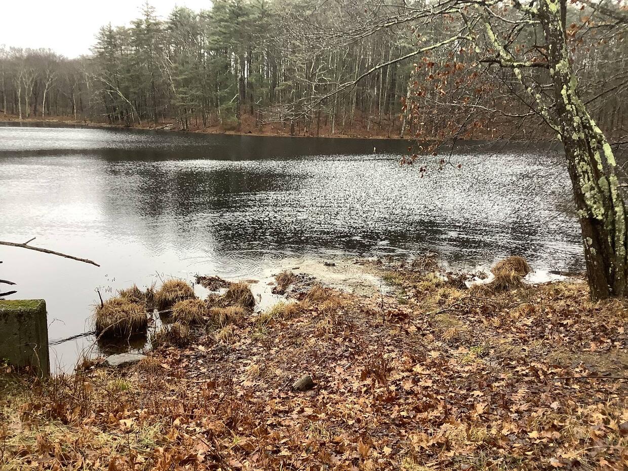 A small dirt boat launch covered in fallen leaves