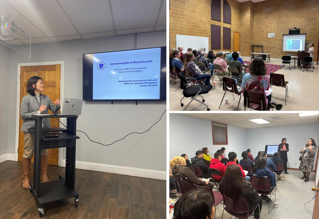 A person giving a presentation to a group of people