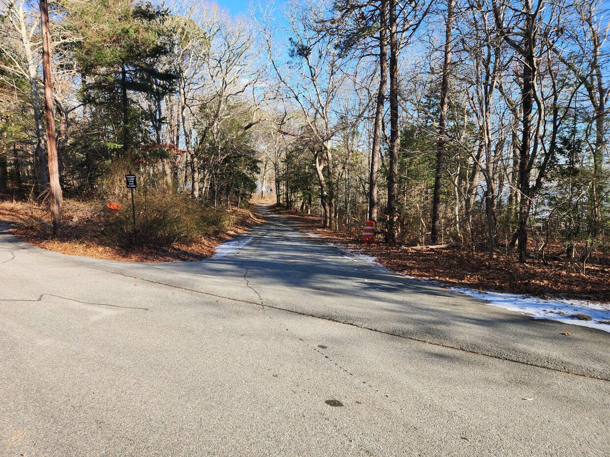 A paved offshoot of the road, leading through trees to the water