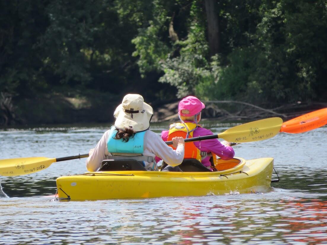 Two people are paddling in a tandem kayak on a pond in the forest.
