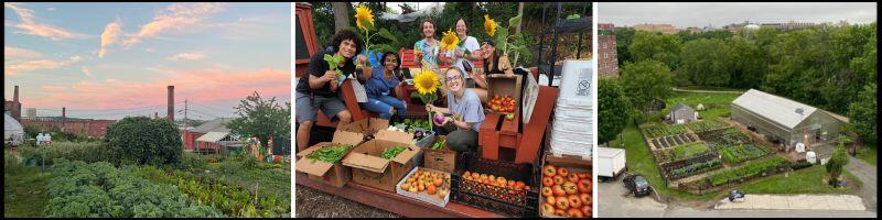 three urban agriculture photo header 