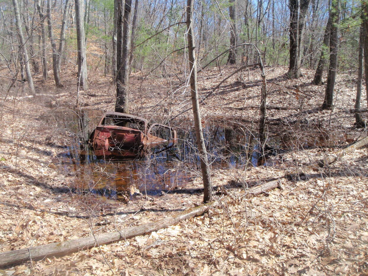 Vernal pool