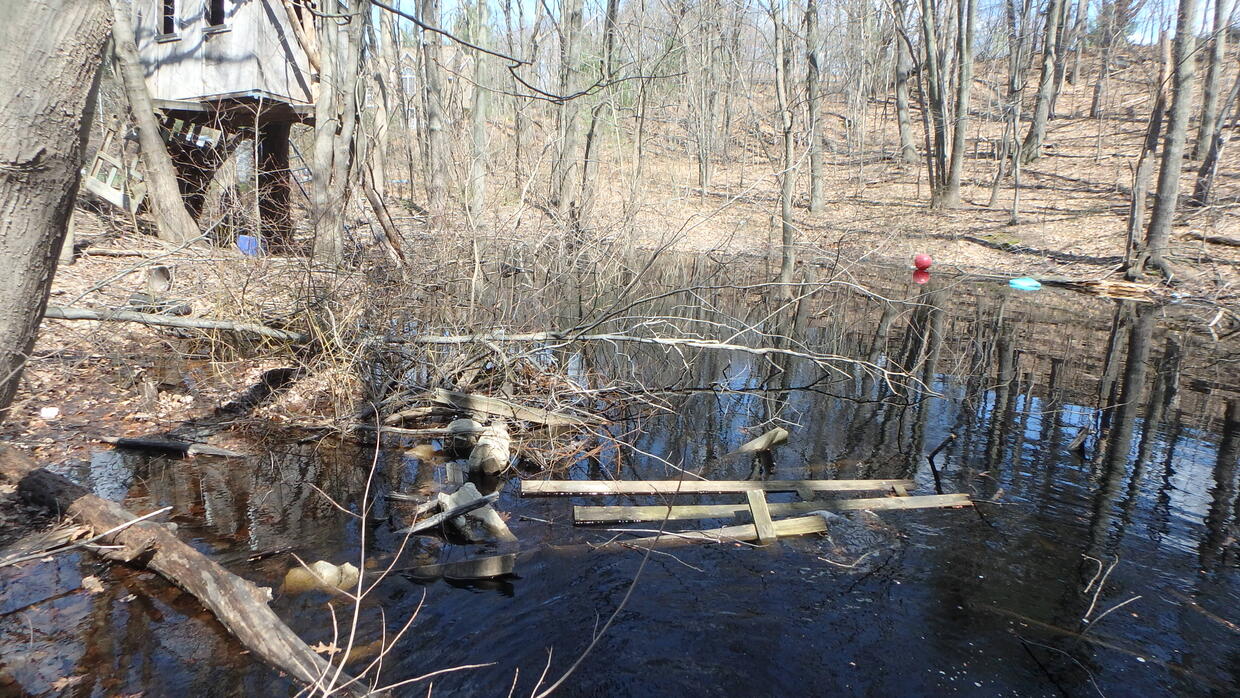 Vernal pool