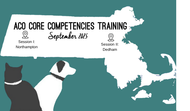 2025 Core training sessions in Northampton and Dedham 
