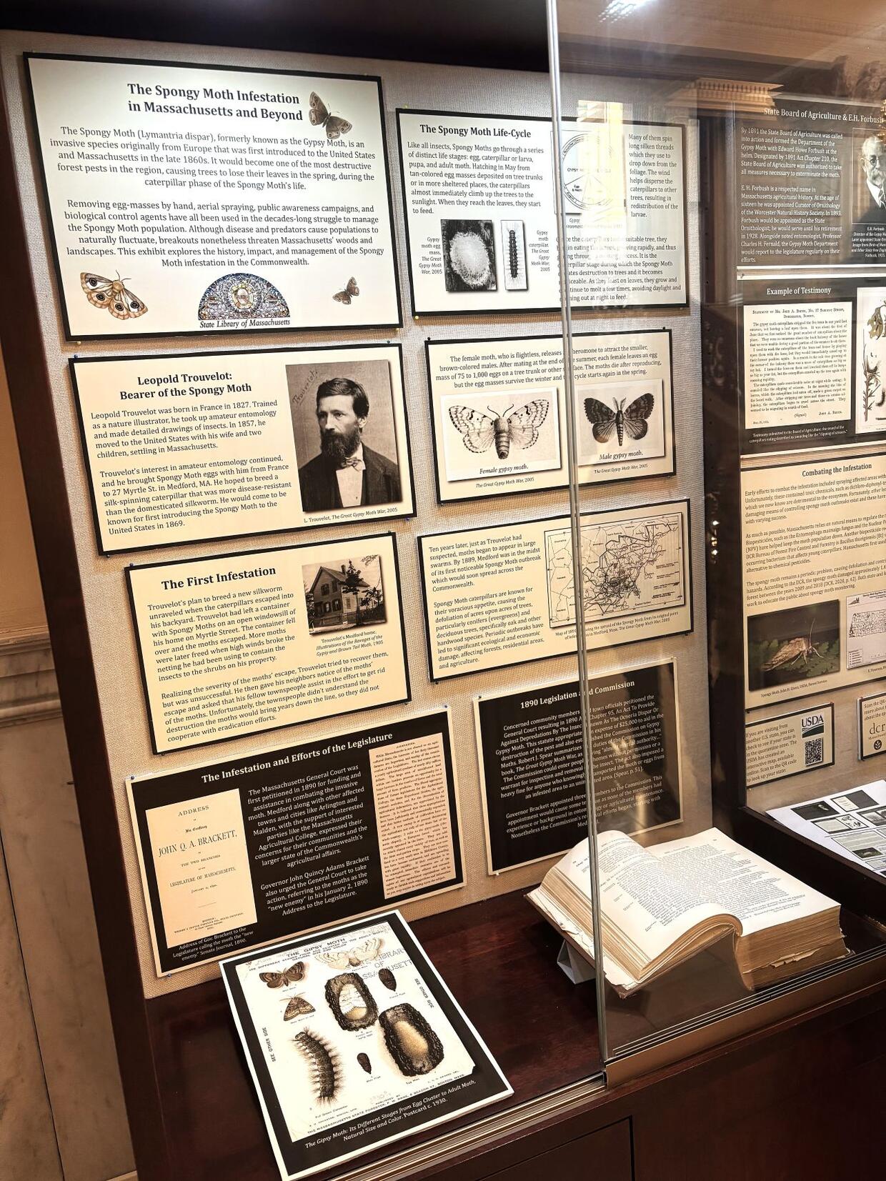Spongy Moth exhibit case at the State Library