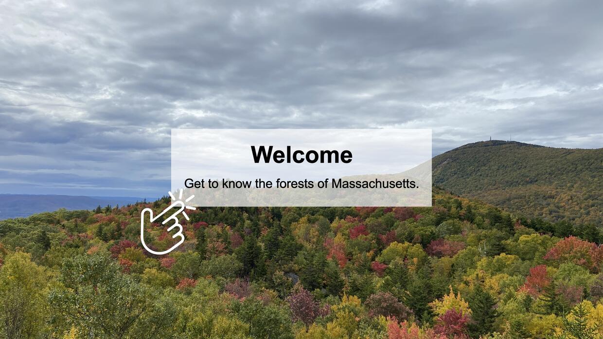 Click here to visit the Forest Explorer StoryMap
