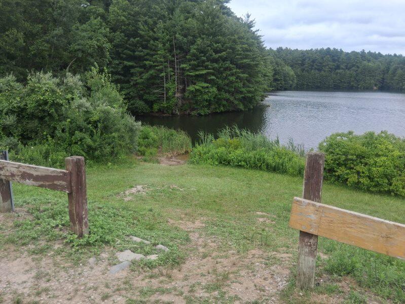 Another grassy area of shore access through an opening of a wooden fence