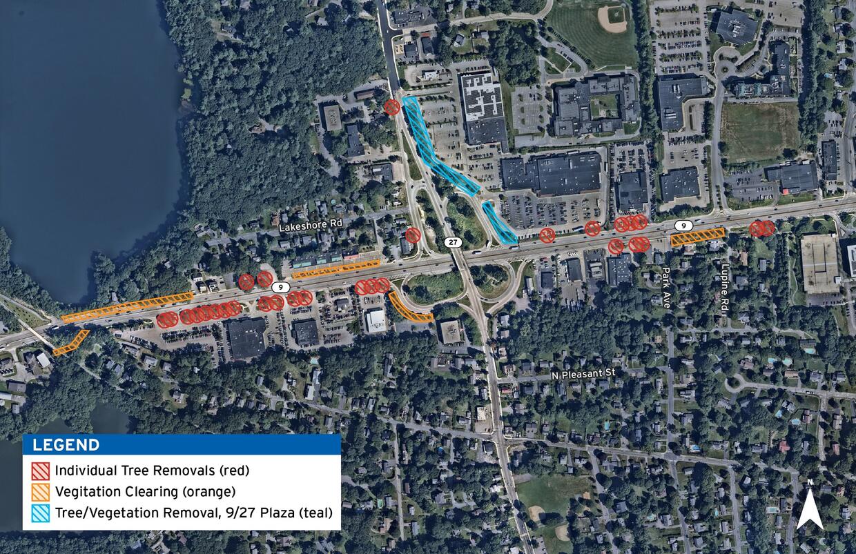 Natick foliage map