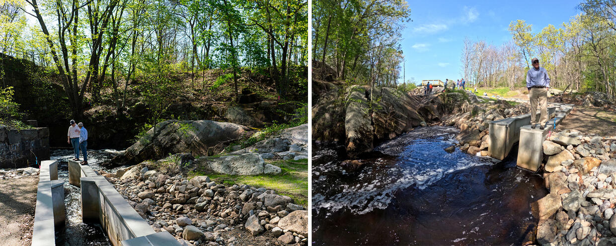 Dam removal projects on a river.