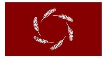 A submission for the Massachusetts flag: six turkey feathers in a circle on a crimson background.
