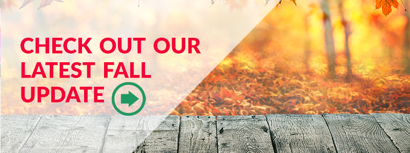 Fall Update from the Division of Local Services