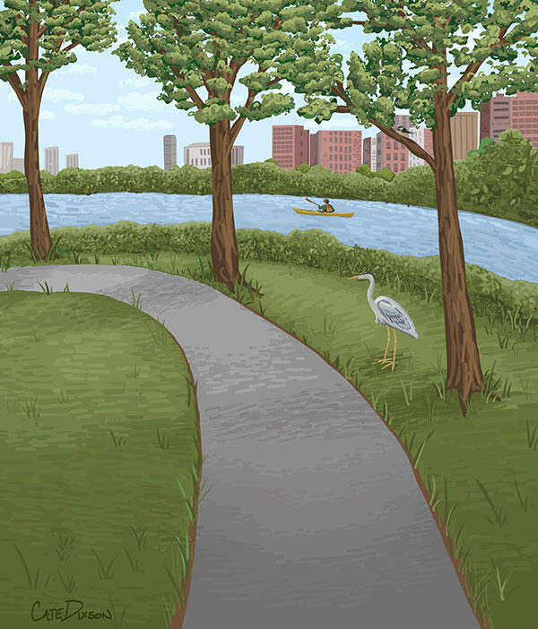 Charles River Greenway artwork