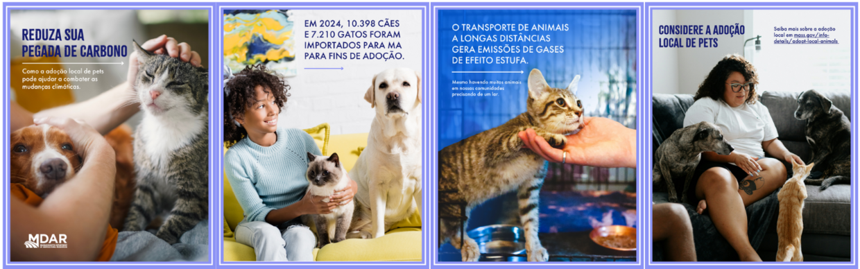 Reduza sua pegada de carbono 