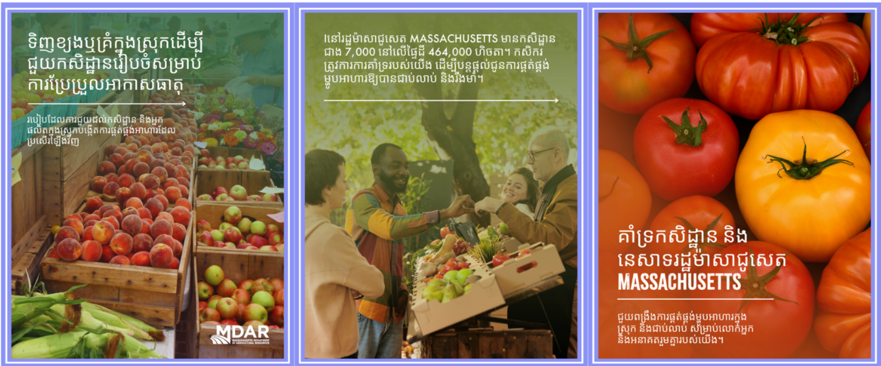 ទិញខ្យងឬគ្រំក្នុងស្រុក ដើម្បីគាំទ្រកសិដ្ឋានក្នុងស្រុក 