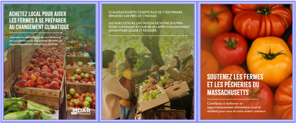 Achetez local pour soutenir les fermes locales 