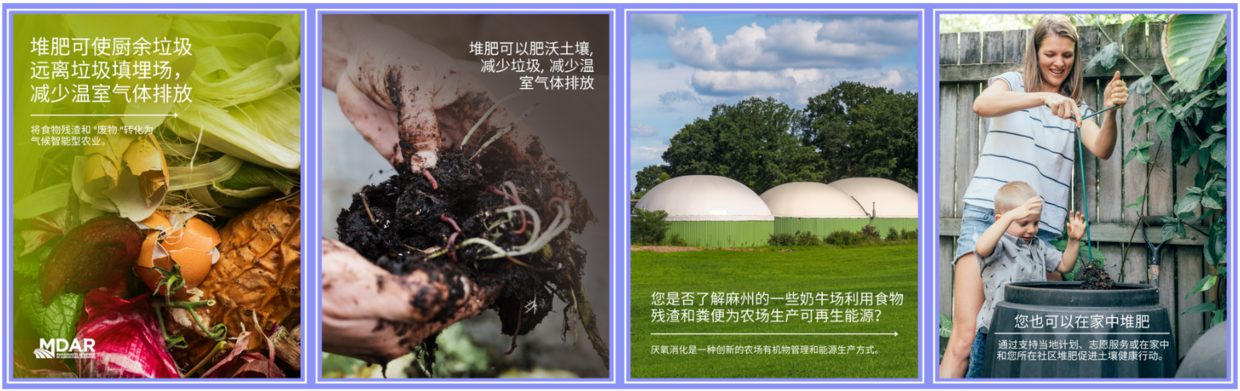 厨余和堆肥 