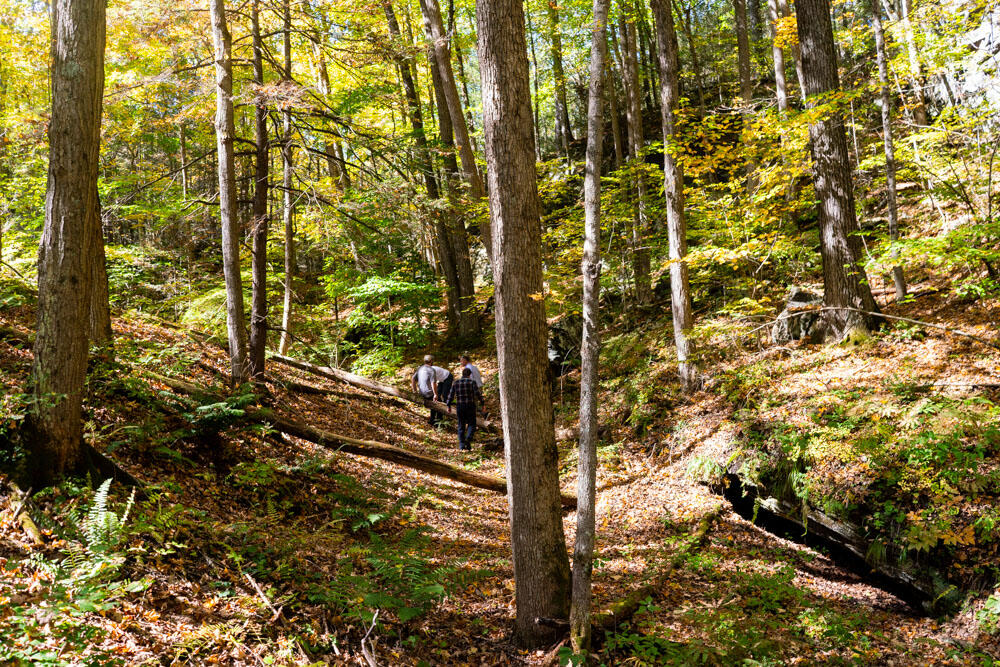 The new Rockdale Highlands WMA, which spans Stockbridge and West Stockbridge, is a large landscape that includes expansive forests, wetlands, unique geological features, and vernal pools. 