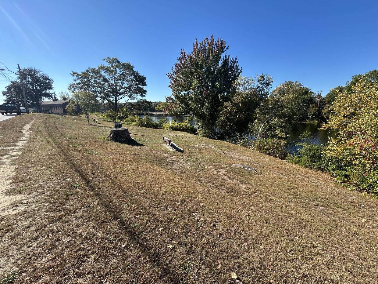 A steep grassy shore, lined with bushes and trees and a bench overlooking the water