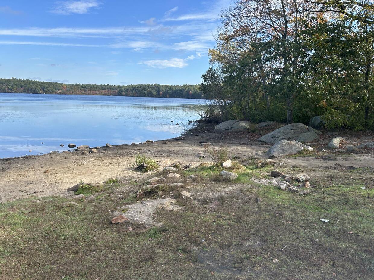 The shoreline on a sunny day. The water is low and the shore is sandy and rocky.