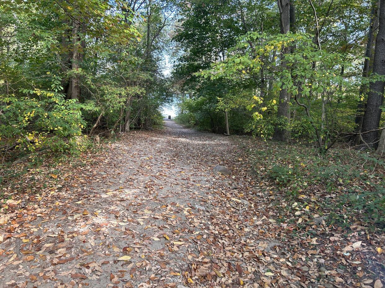 A gravel and dirt access road leading down to the water. The road is surrounded by trees and covered in fallen leaves.