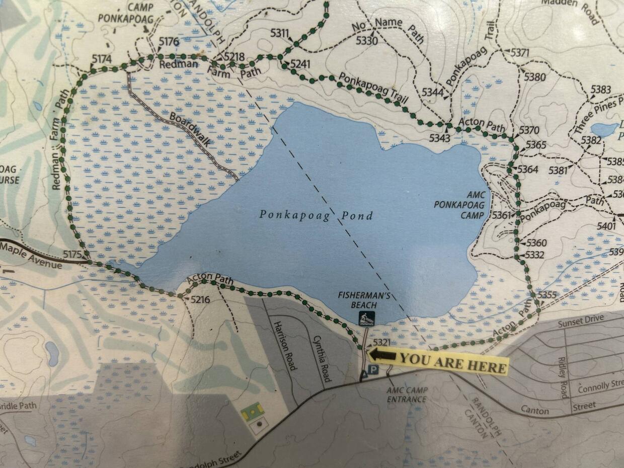 Map of Ponkapoag Pond and the paths around the area.