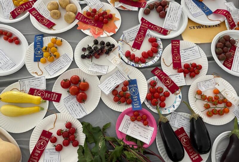 display of vegetables