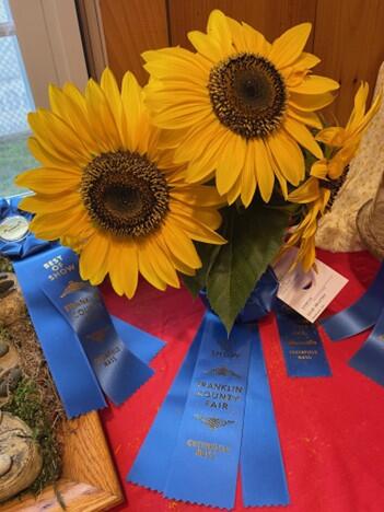 sunflowers on table display