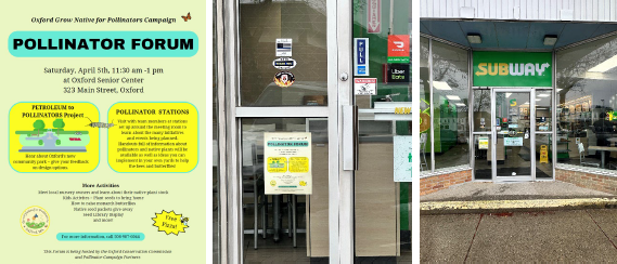 Promotional Flyer for Pollinator Forum