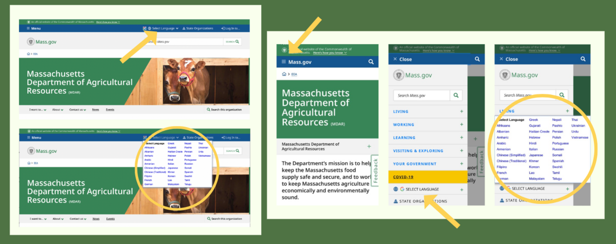 Visual instructions on how to translate mass.gov website (typed instructions below).