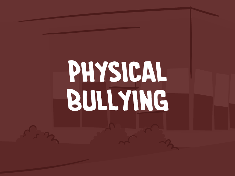 Physical bullying 