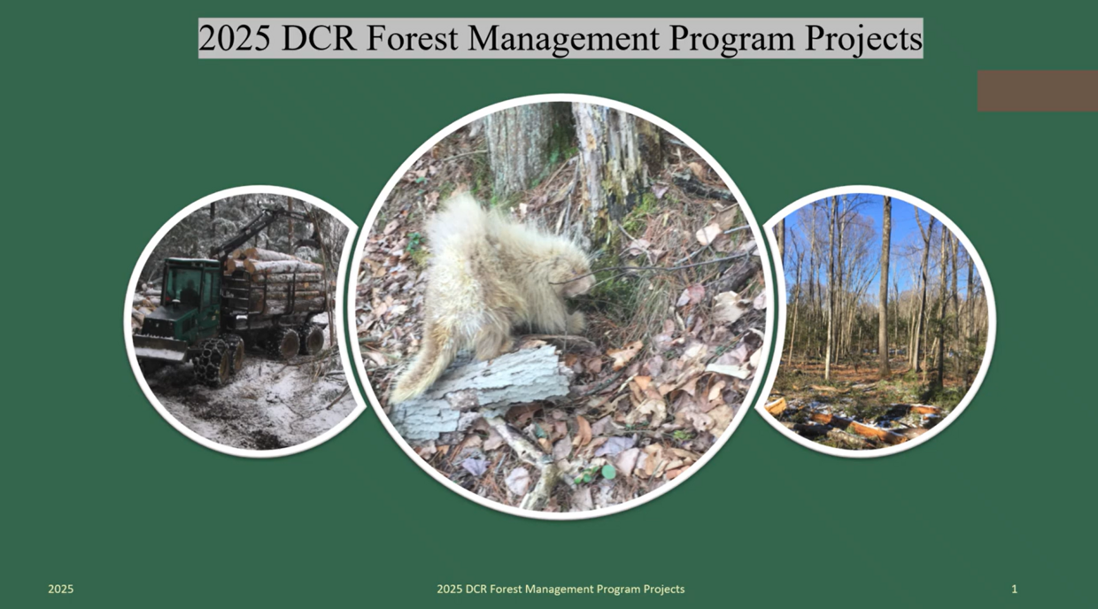 Presentation video link