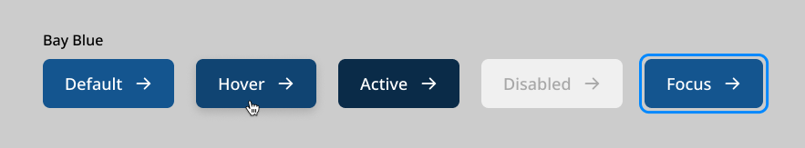 Bay Blue color interactive buttons showing default, hover, active, disabled, and focus states.