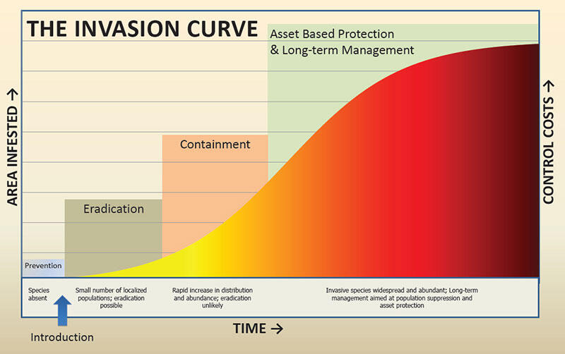 Chart showing invasive species spread increasing over time and management becoming more difficult and costly.
