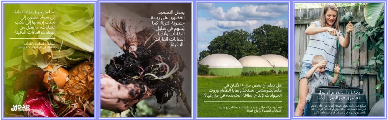 مخلفات الطعام والتسميد العضوي 