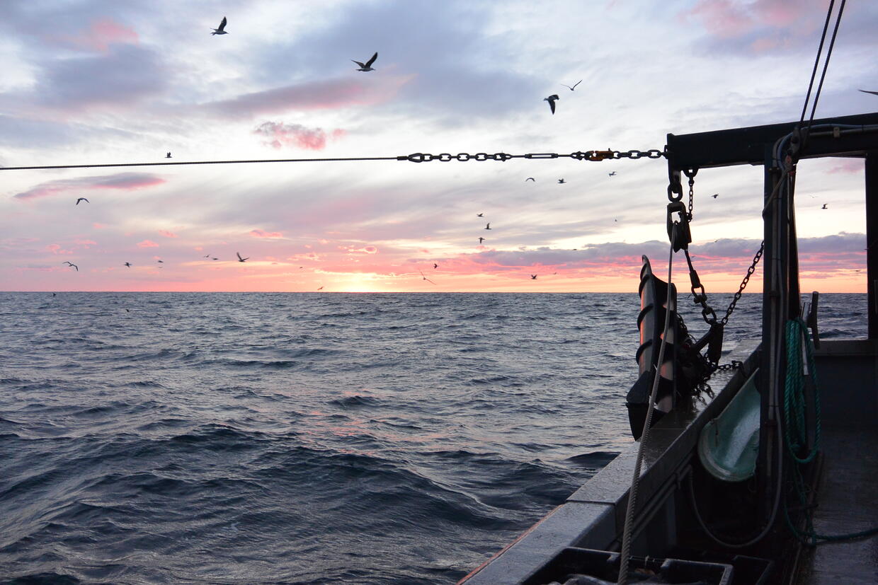 Fishing boat heads toward sunrise. 