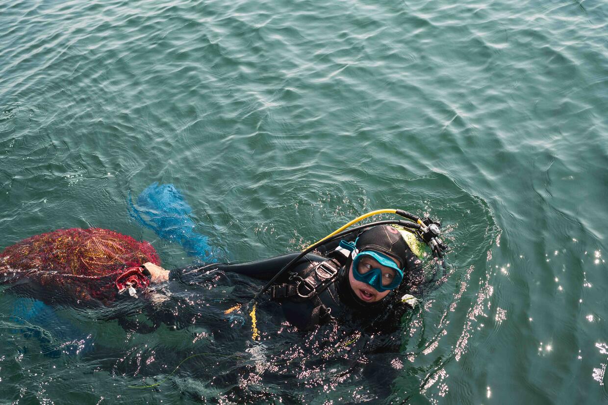 Diver swims at the surface of the water carrying a large, red mesh bag filled with eelgrass reproductive shoots. 