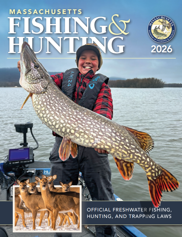 2026 guide to fishing and hunting in Massachusetts