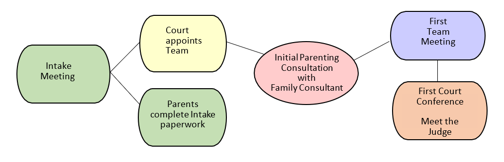 Flowchart showing the start of the FRSC process. Details of the steps in Phase 1 can be found in the paragraph before the flowchart.