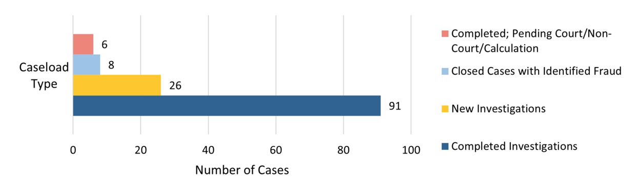 This object is a bar graph showing the MassHealth caseload during the FY highlighted in this report. The y-axis shows the caseload type and the x-axis shows the number of cases. The information in the object is as follows: •	Completed; Pending Court/Non-Court/Calculation: 6; •	Completed Cases with Identified Fraud: 8; •	New Investigations: 26; and  •	Total Completed Investigations: 91.
