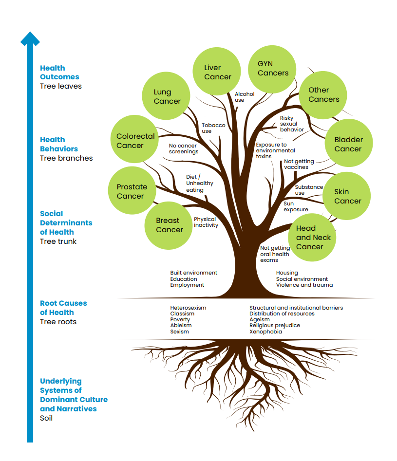 Image of a health tree showing how systems of oppressive lead to disparities in community environments which subsequently leads to disparities in health outcomes.