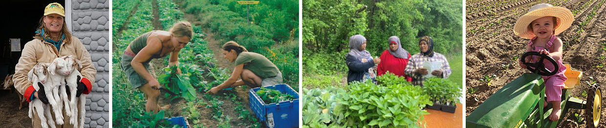 International Year of the Woman logo