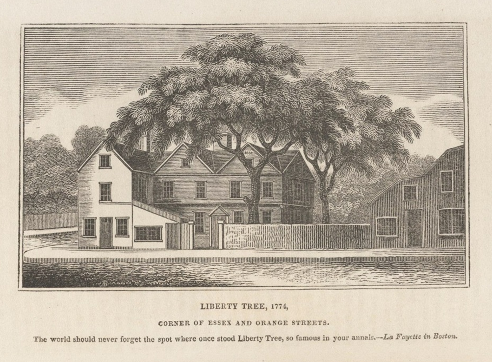 Printed picture of the Boston Liberty Tree, 1774 in an old newspaper
