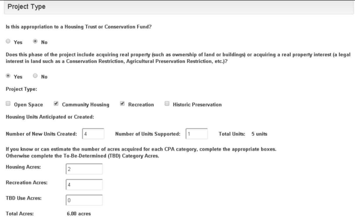 More project type info