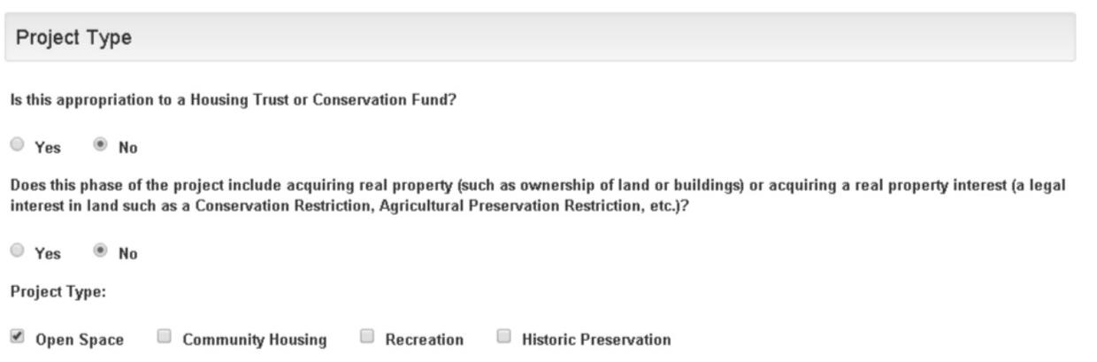 More info about project type