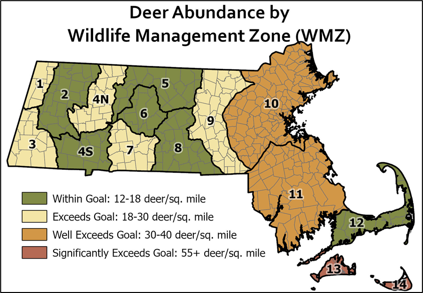 Deer abundance by Wildlife Management Zone